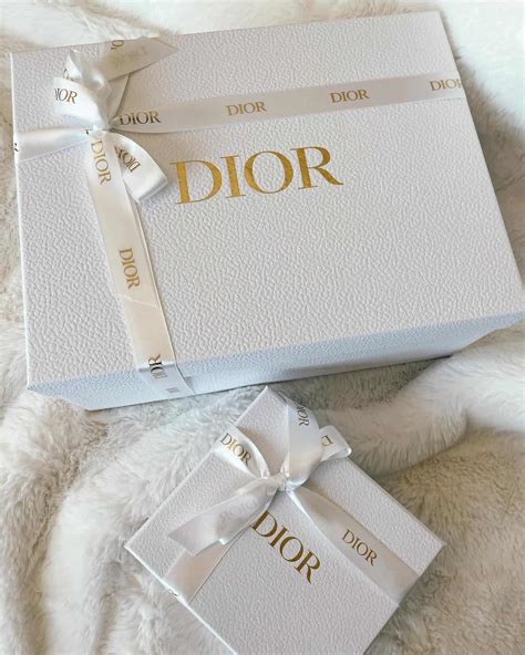 dior increase price 2024|dior summer 24.